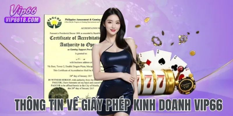 Sơ lược thông tin về giấy phép hoạt động VIP66